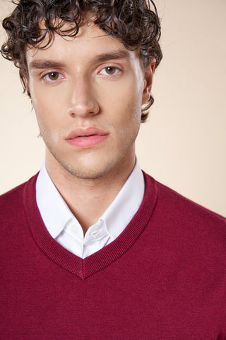 Maglia Uomo con Scollo a V e Maniche Lunghe|Colore:Bordeaux