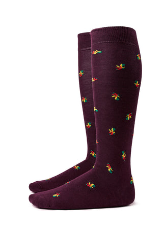 Calze Uomo Lunghe in Cotone con Fantasia Bastoni|Colore:Bordeaux