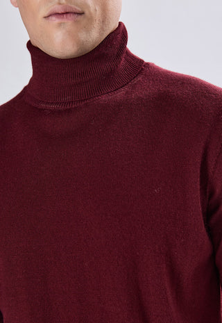 Maglia Dolcevita Merinos