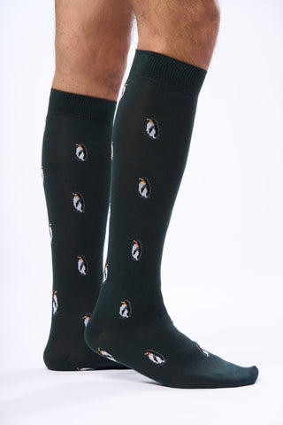 Calza Lunga Fantasia Pinguini|Colore:Verdone